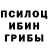 Галлюциногенные грибы Magic Shrooms rapid 520