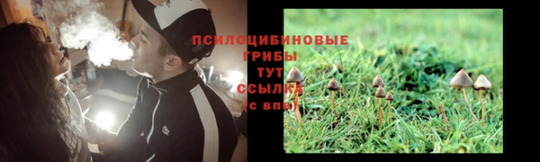стафф Белокуриха