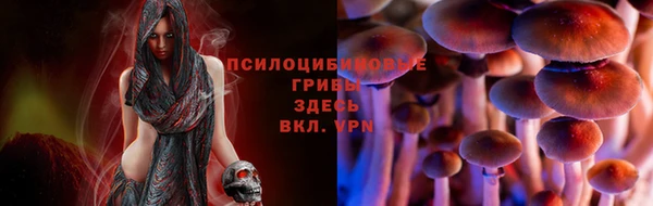 ECSTASY Беломорск