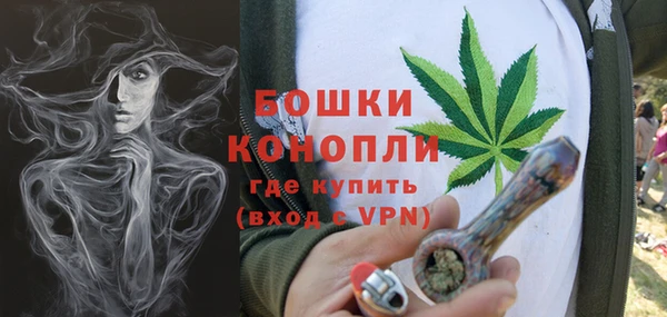 ГАЛЛЮЦИНОГЕННЫЕ ГРИБЫ Балахна